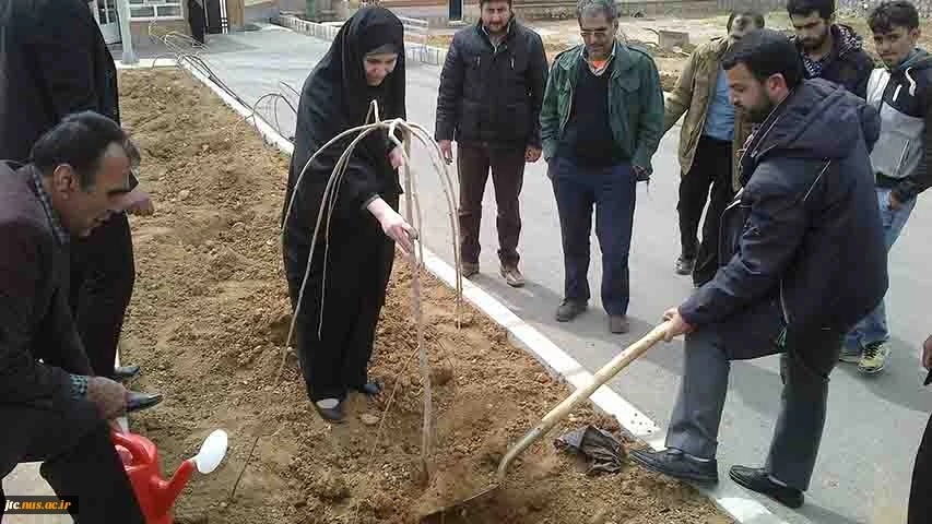 مراسم درخت کاری 2