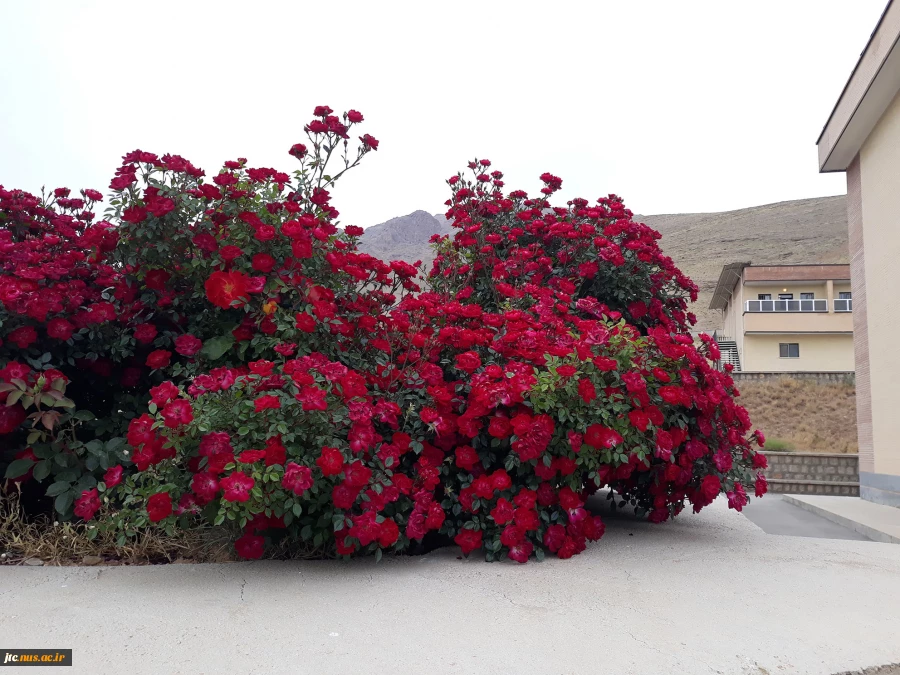 چشم انداز 2