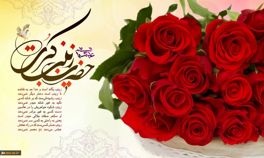ولادت حضرت زینب سلام الله علیها وروز پرستار گرامی باد 3